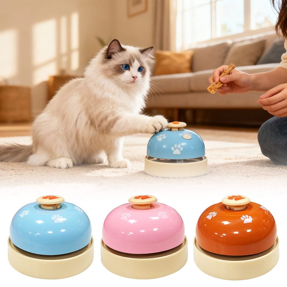 Food Storage In Restaurant - Nuevo Timbre de Mesa Multifuncional con