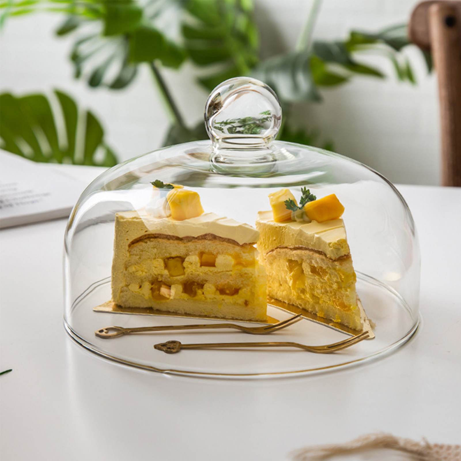 1 unidad de cubierta transpare - Food Storage Glass Round reseña y precio
