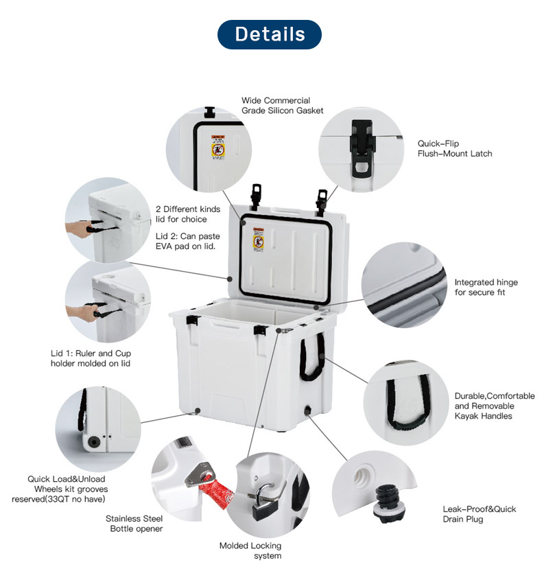 Nevera rígida aislada nueva de - Food Storage In Cooler reseña y precio
