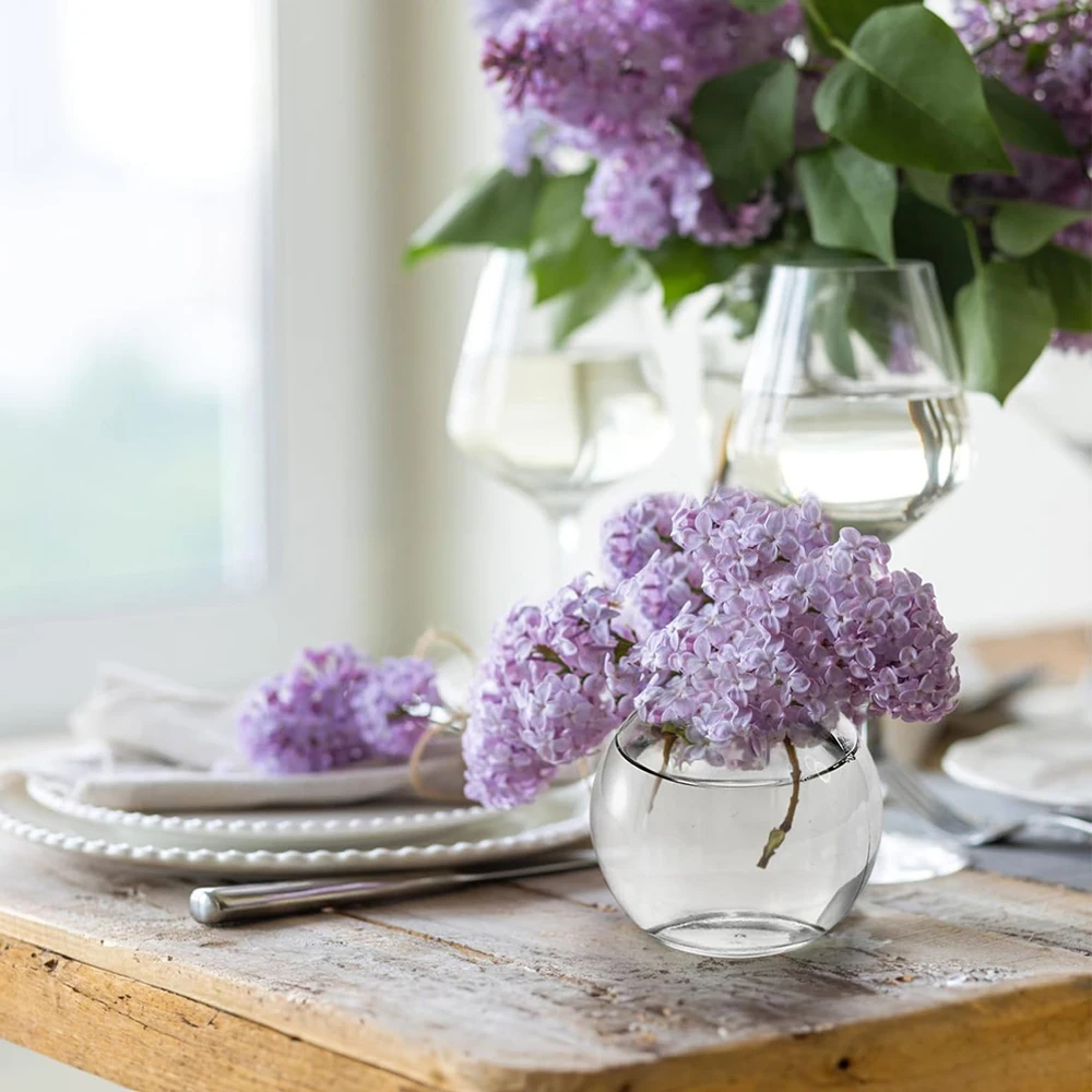 Frascos de vidrio transparente - Food Storage Glass Round reseña y precio